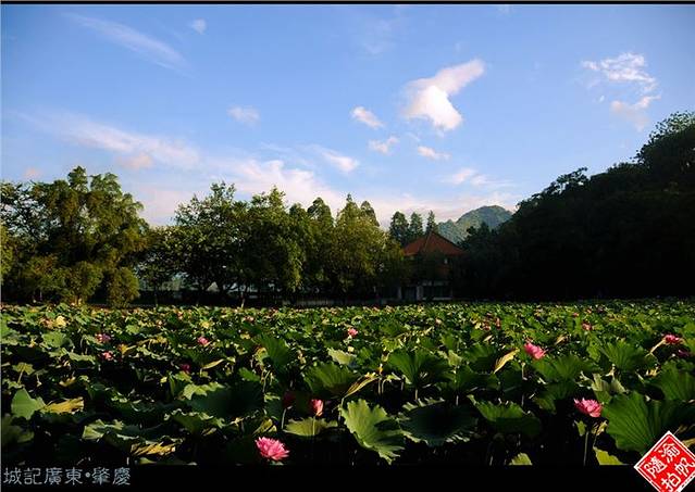 封开国家地质公园