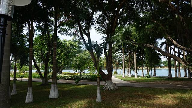 三月二十九日公园