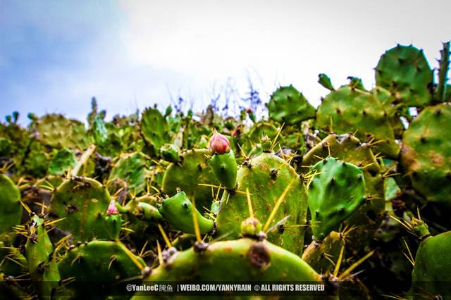 蛇头山纪念公园