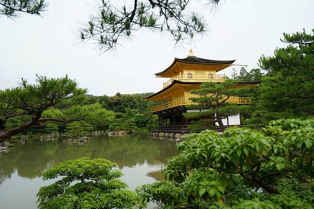 金阁寺的外墙是以金箔装饰,据说已金阁为中心的庭院表示极乐净土.