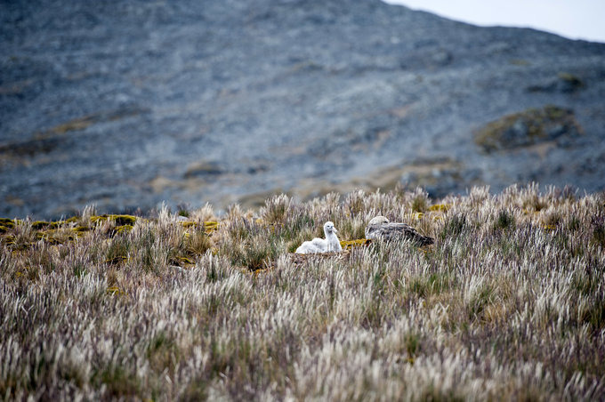 Godthul峡湾图片 Godthul峡湾图片