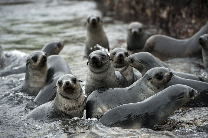 Cooper Bay图片 Cooper Bay图片