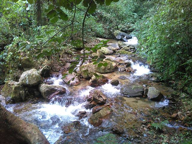 莫里热带雨林景区