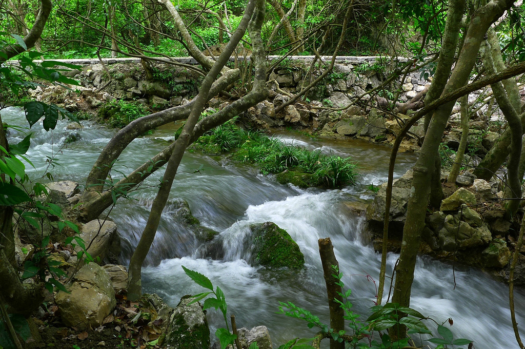 2015水上森林_旅游攻略_门票_地址_游记点评,黔南旅游景点推荐 - 去