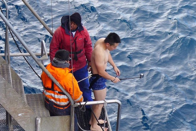 极地跳水图片 极地跳水图片