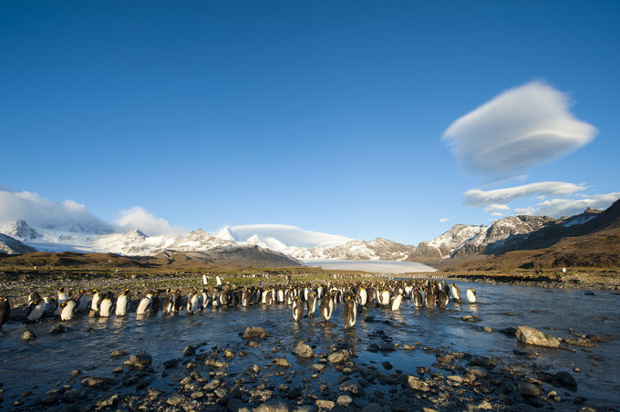圣安德鲁斯海湾图片 圣安德鲁斯海湾图片