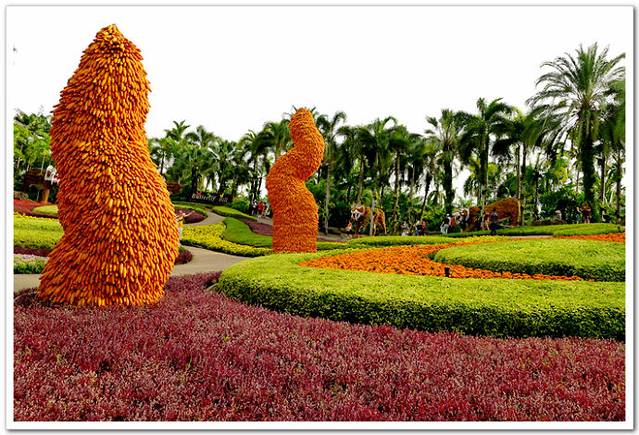 玉米也是垛成一个植物景观,而且金色也符合泰国文化的基本元素.