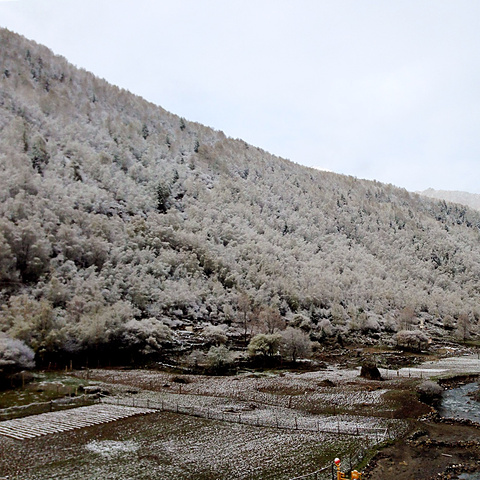 "美丽的雪山…小绾承认这里的确是“东方的阿尔卑斯”“美丽的川西高原”…四姑娘山“蜀山之后”的美..._四姑娘山海子沟风景区"的评论图片