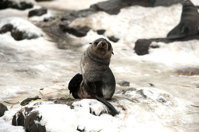 Cooper Bay图片 Cooper Bay图片