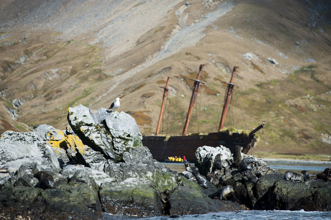 大洋港图片 大洋港图片