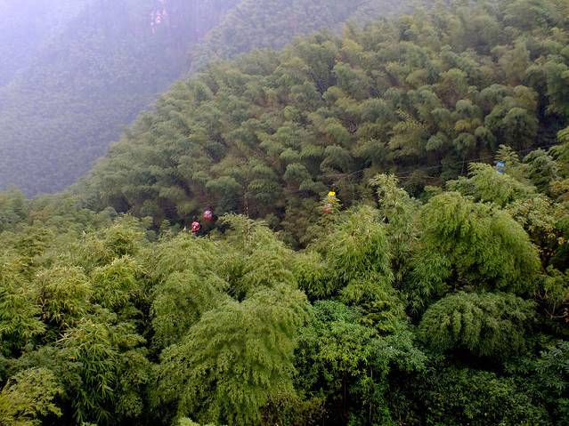 蜀南竹海观海楼