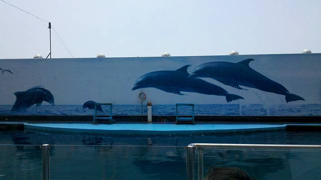 海豚表演馆