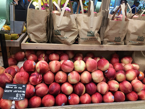 旧金山旅游攻略