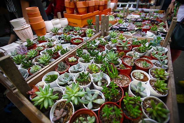 南山农副产品批发超市