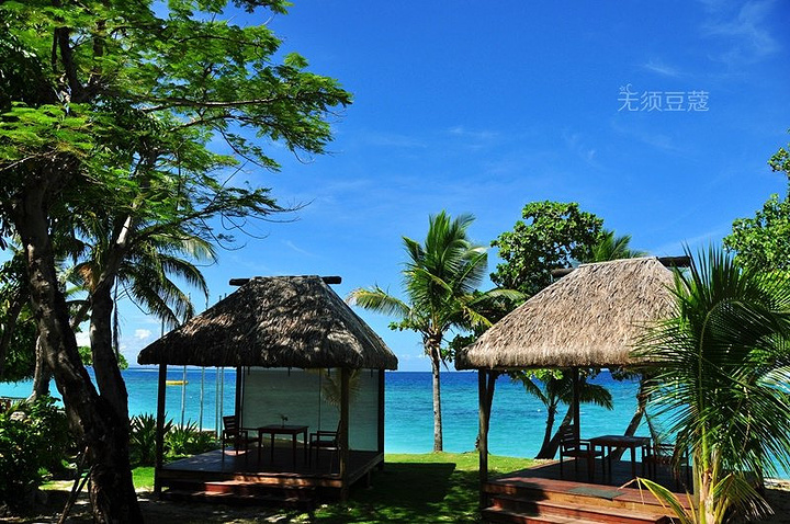 当你真的在金银岛上安逸下来,处处可见两树间的吊床,你惬意的躺在上面