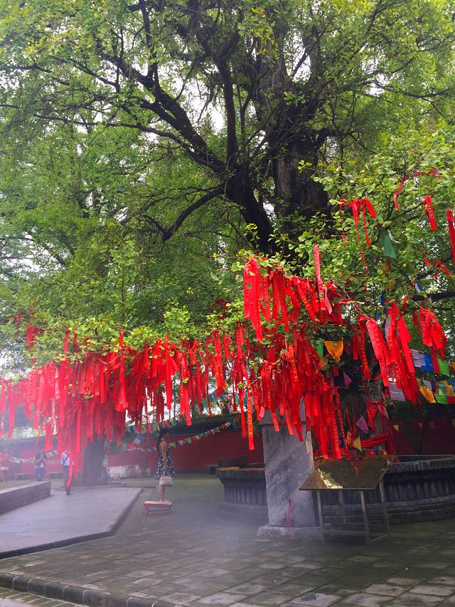 多宝佛塔话珍奇