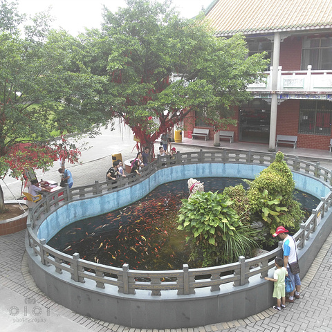 观音山国家森林公园有:门楼,国际会展中心,古树博物馆,慈云阁,百鸟园