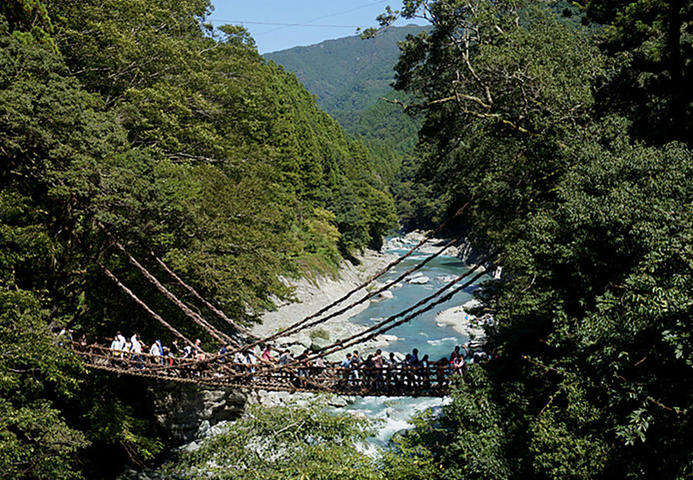 祖谷藤桥