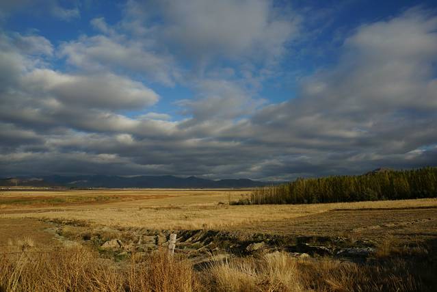 卡拉麦里有蹄类保护区