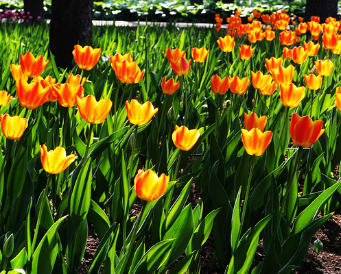 哈尔滨周末带娃去哪玩?