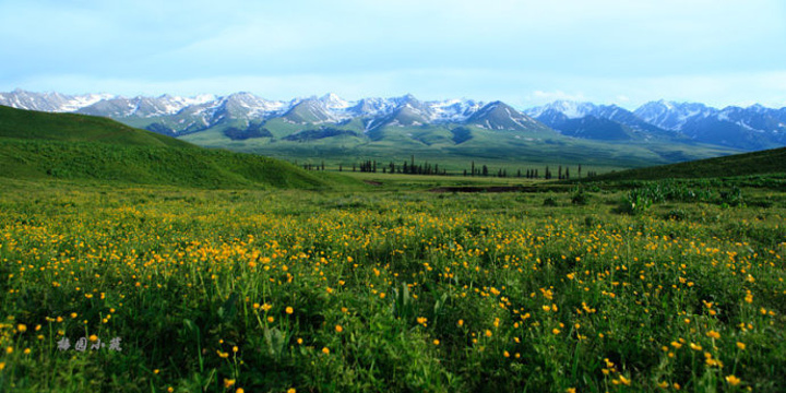 2017那拉提,是一个蒙古语的名字。意思是有太