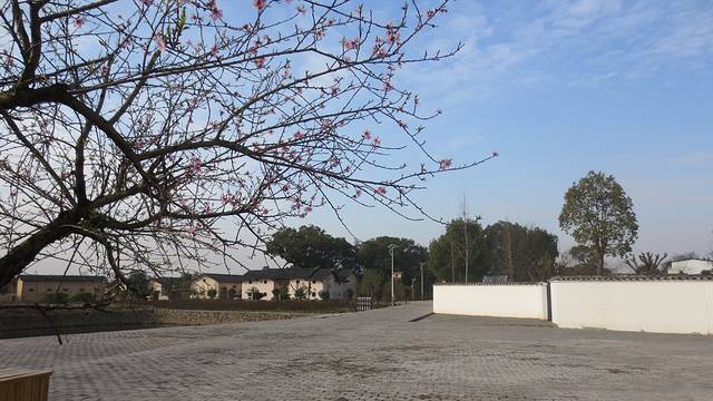 共和国摇篮旅游区-红井景区