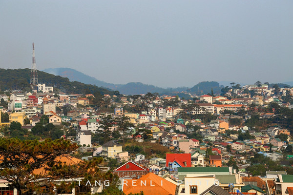 在crazy house最高的地方可以看到整个大叻的全景.
