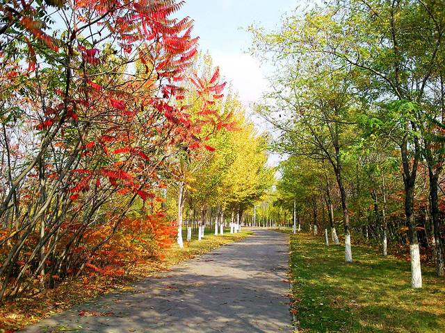 西安交通大学(兴庆校区)