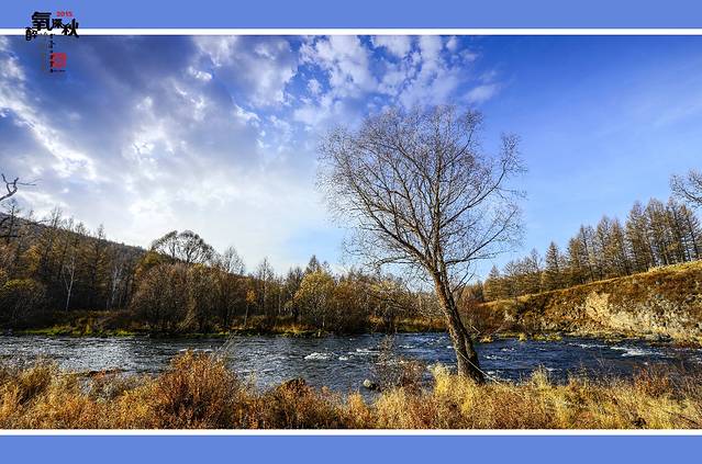 双台河口自然保护区
