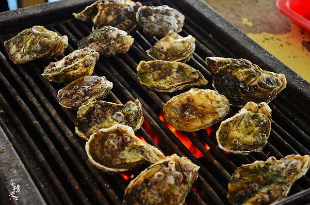 海上皇宫-海洋牧场