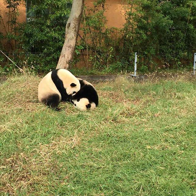 宁波野生动物园