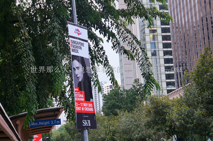 2017新加坡不亏是花园城市,到处都是绿色。小