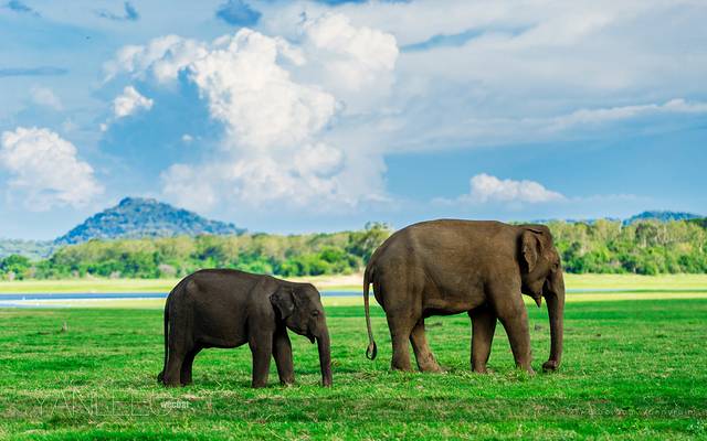 米内日亚国家公园