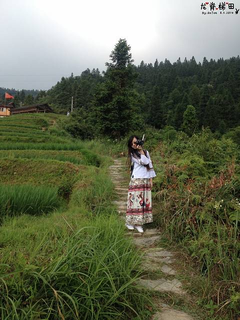 龙脊梯田 蓝天之下,有清风掠过, 身后身前,都是一