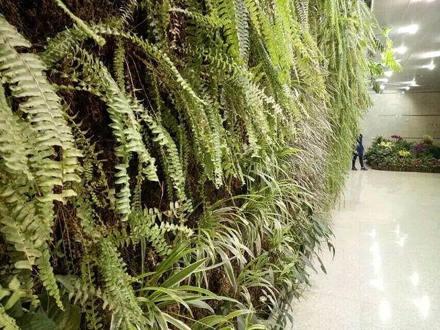 机场(Hangzhou International Airport)(IATA代码.