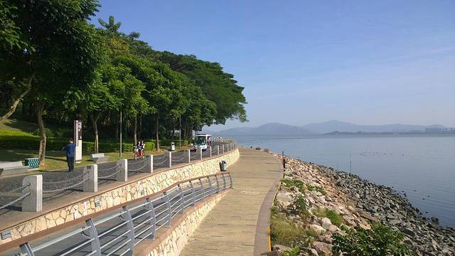 深圳湾公园