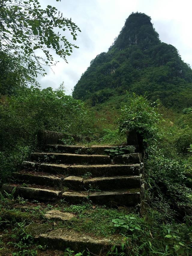 广西之西,一路车行看河池!