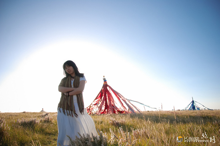 一记排山倒海,结束了鸟岛的行程,赶赴青海湖的