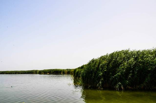 博斯腾湖南岸景区