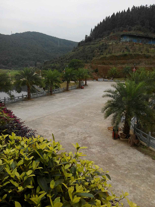 尤溪高春山庄-三明旅游攻略-游记-去哪儿攻略