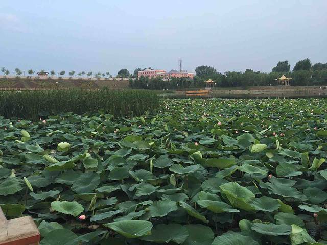 六鼎山风景区-正觉寺