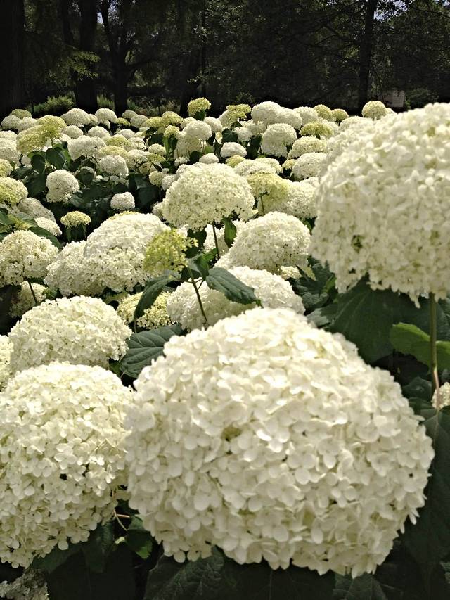 贾拉蒂尼大众英德罗蒙太尼里