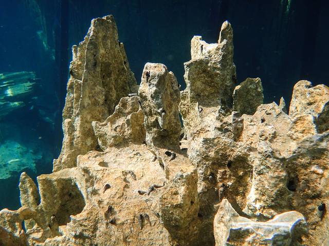 点评(18 条) 蓝色的水,白色的岩石海底,大量的岩石构造和珊瑚礁,这里