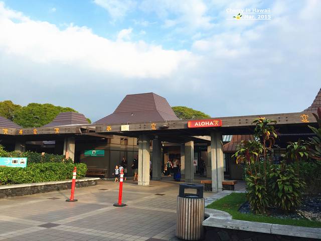 alamo的shuttle bus 夏威夷航空自助机 科纳机场,整个机场都是露天的