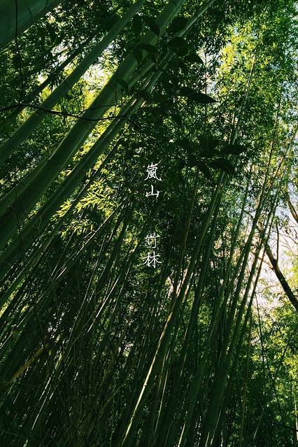 竹林还是挺赞的 风吹着竹子互相敲击的声音夹杂着竹叶沙沙的声音 很