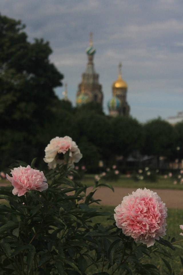 圣彼得堡战神广场