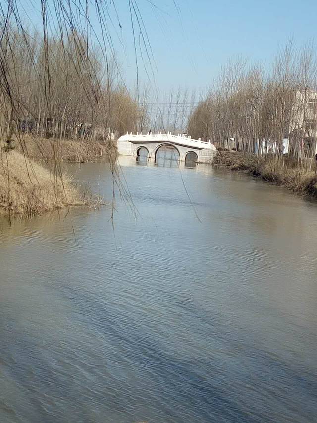 大河古渡文化园