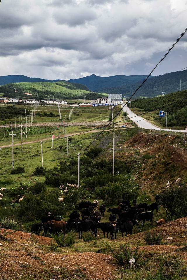 霞给藏族文化村