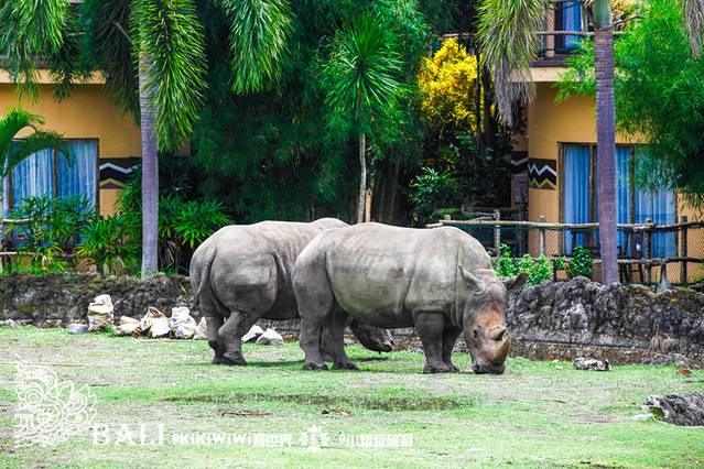 巴厘岛野生动物园