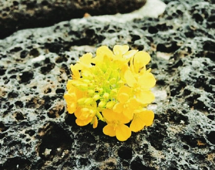 爱来魔相4D艺术馆(济州中文店)